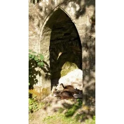 3D Bisamrotte 11 3D Bisamrotte -Svaerd Salg 3d bisamrotte 4