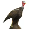 3D Stående Kalkun Høne -Svaerd Salg 3d staende kalkun hone