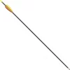 Glasfiber Arrow 28" (74 Cm) 2 Glasfiber Arrow 28" (74 Cm) -Svaerd Salg glasfiber arrow 28 74 cm
