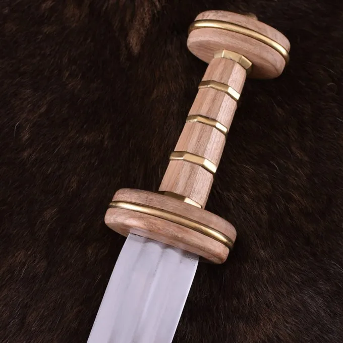 Deepeeka Romersk Spatha Podlodów, 3th århundrede E.Kr. 3 Deepeeka Romersk Spatha Podlodów, 3th århundrede E.Kr.